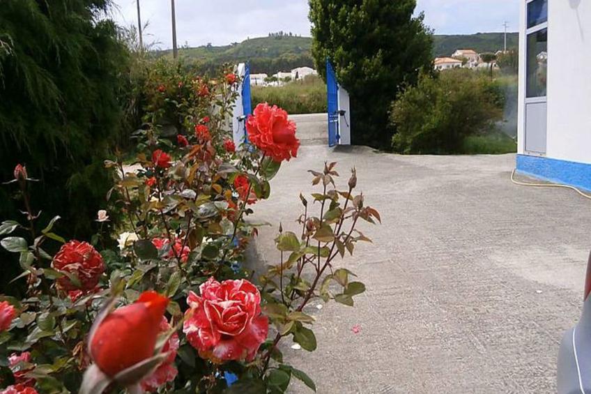 Die typischste Region Portugals - foto 19