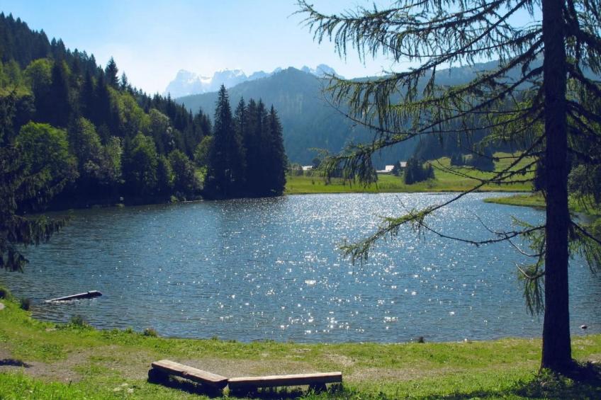 Apartment plus Pool - foto 33