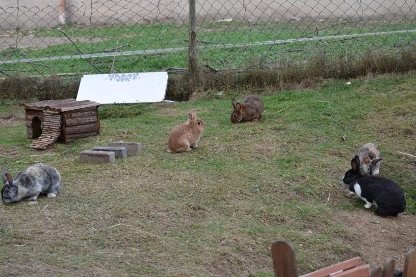 mit zwei Schlafzimmern und Balkon - foto 20