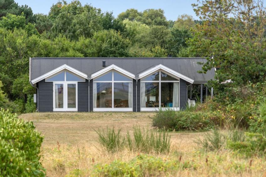 "Carmen" - 25m from the sea in Sealand - foto 29