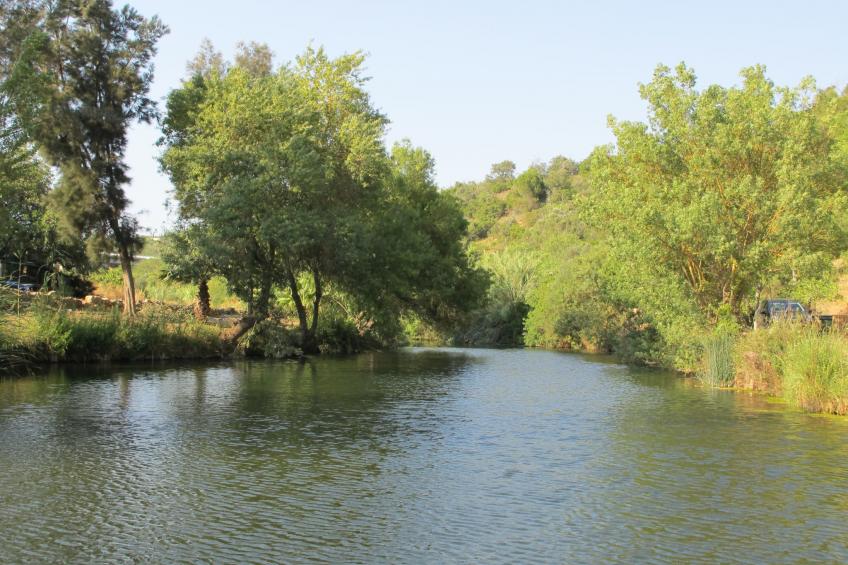 V4 Águia Vermelha - foto 32