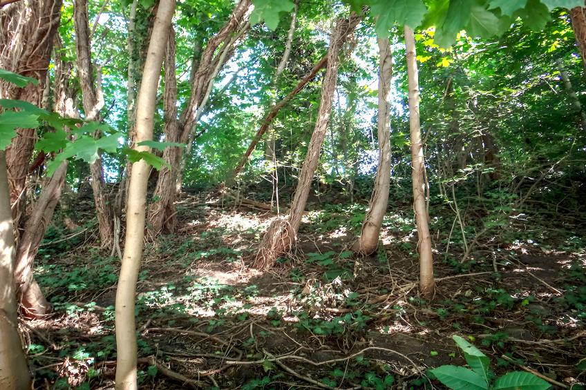 Ferienhaus Luftkurort Oberhundem - foto 26