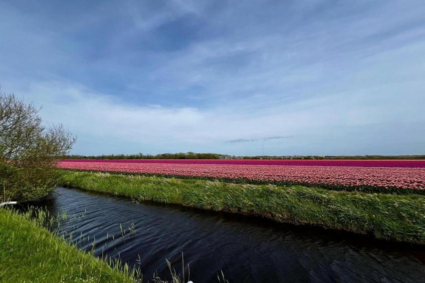 De Schelp 27 - foto 34