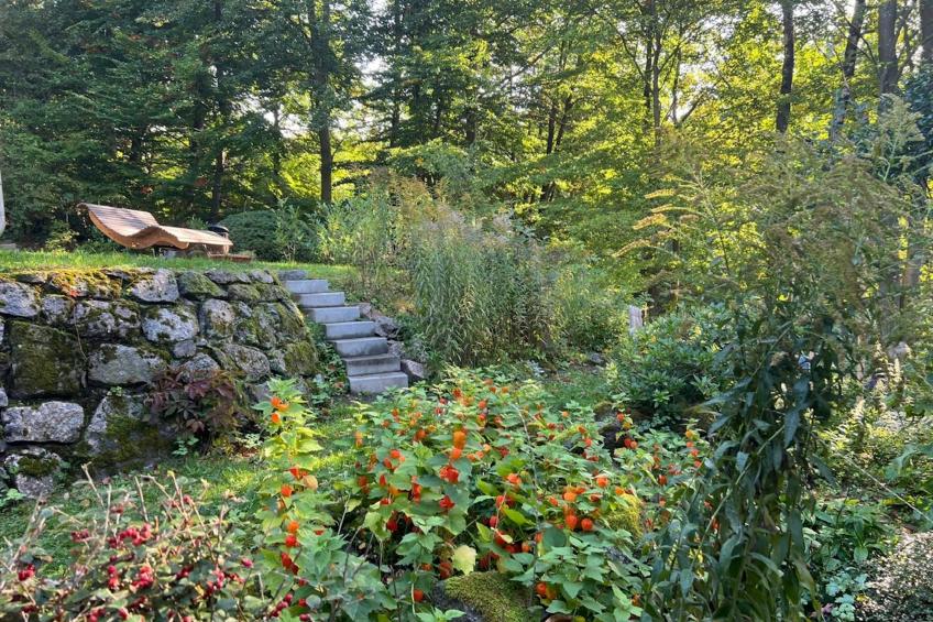 Forsthaus Heinrichsbach - foto 3