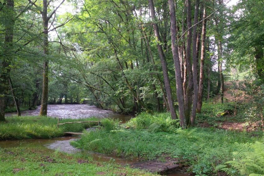 maison les isles menefriers - foto 3