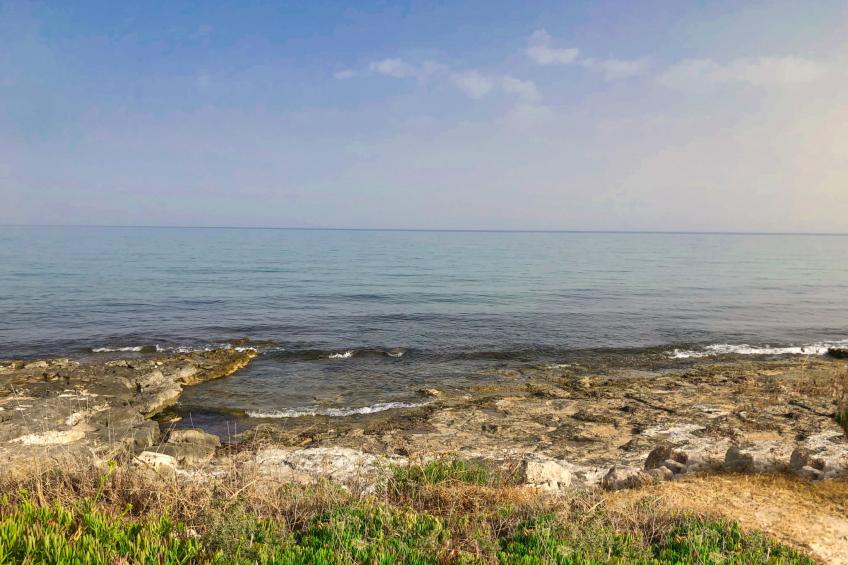 La Perla 8 - foto 53