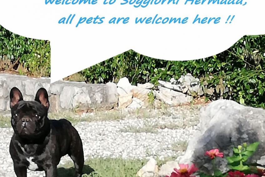 Hermada Aufenthalte in Duino - foto 11