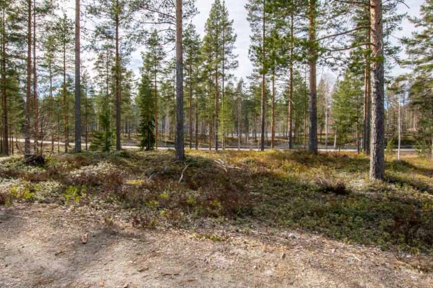 Koli country club d 11 - foto 19