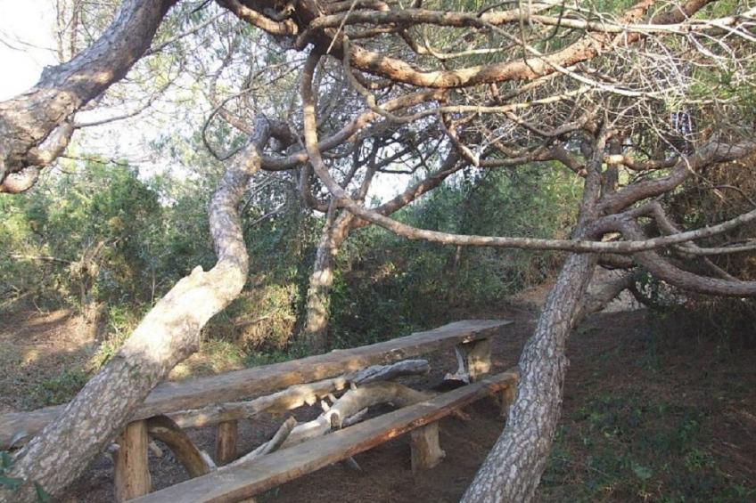 Villa al mare-Camelia - foto 24