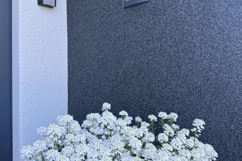 Dariana Schwalbach - foto 3