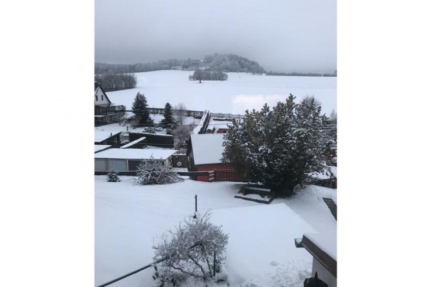 229678 - foto 6