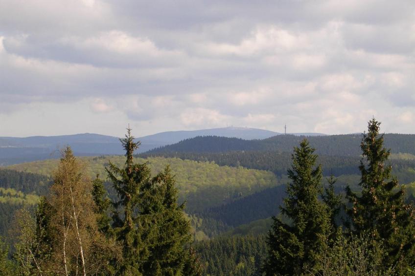 Der Falkenhorst - foto 17