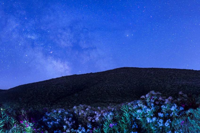 "Yellow Villa" - foto 17