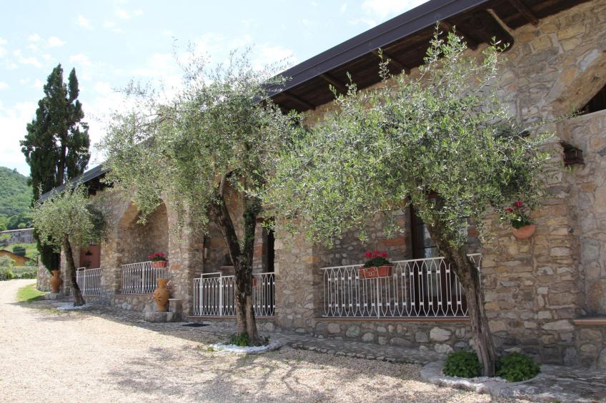 Fattoria La Tartufaia (TMO103) - foto 7