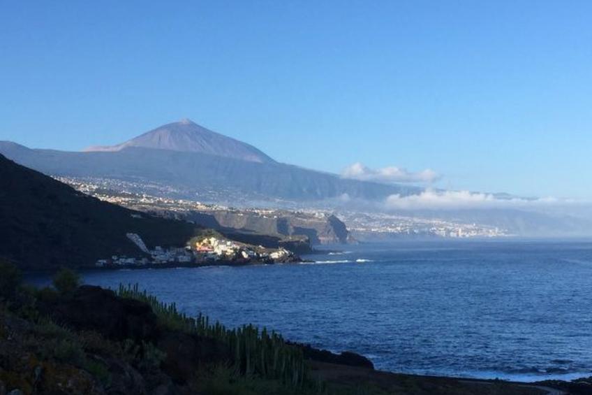 La Palmita mit Meerblick - foto 25