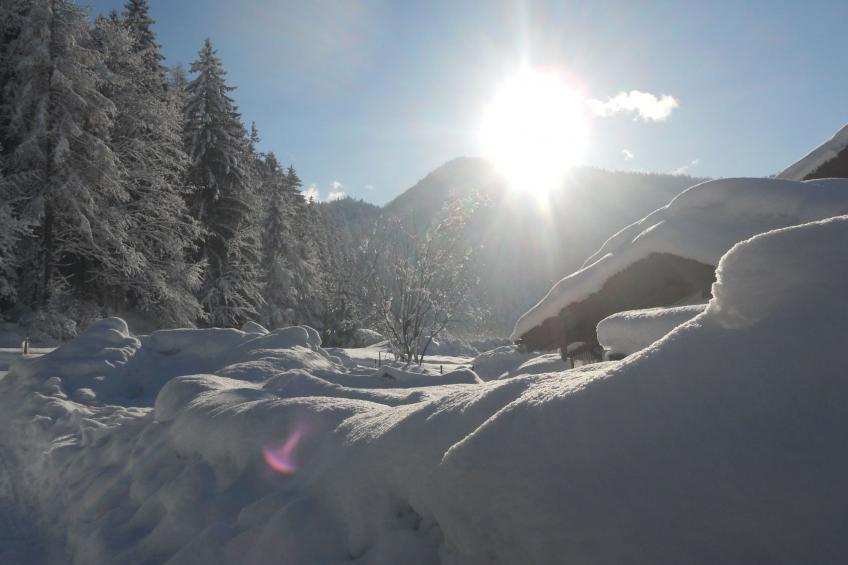 Komfortable Ferienwohnung mit herrlichem Bergblick - foto 17