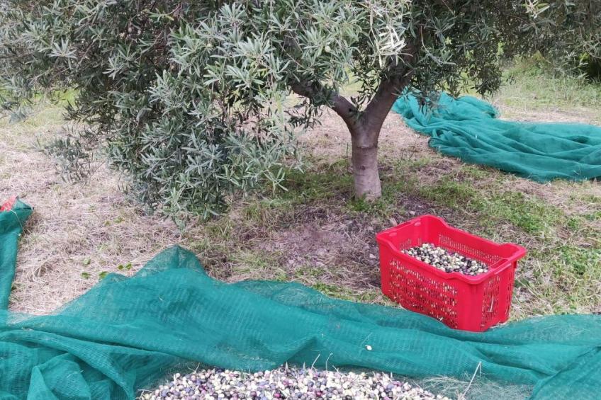 "Haus am Meer in Sizilien" - foto 23