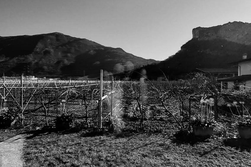 Casa Padronale nähe Arco - foto 9