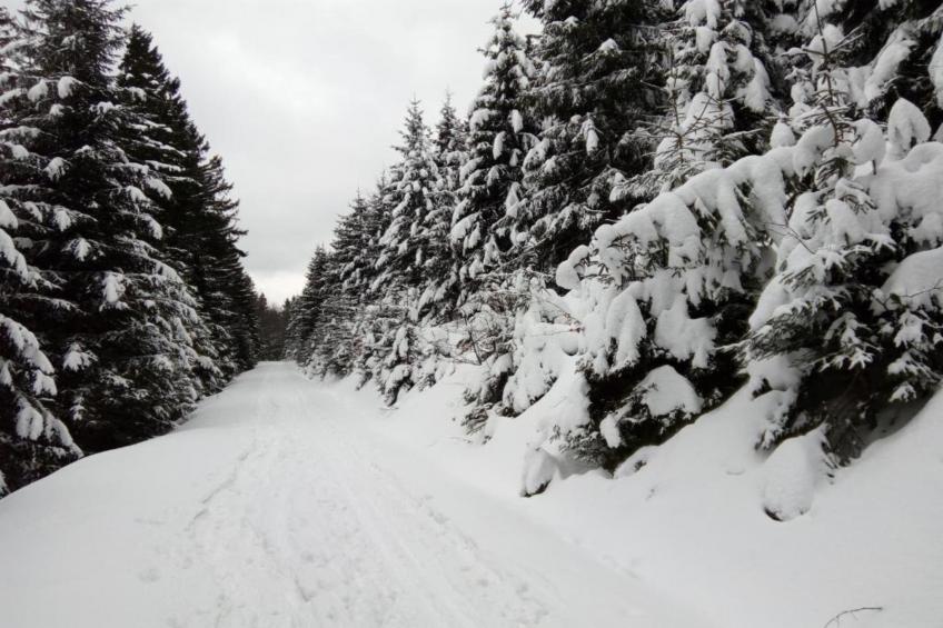 Old Bakery - foto 21