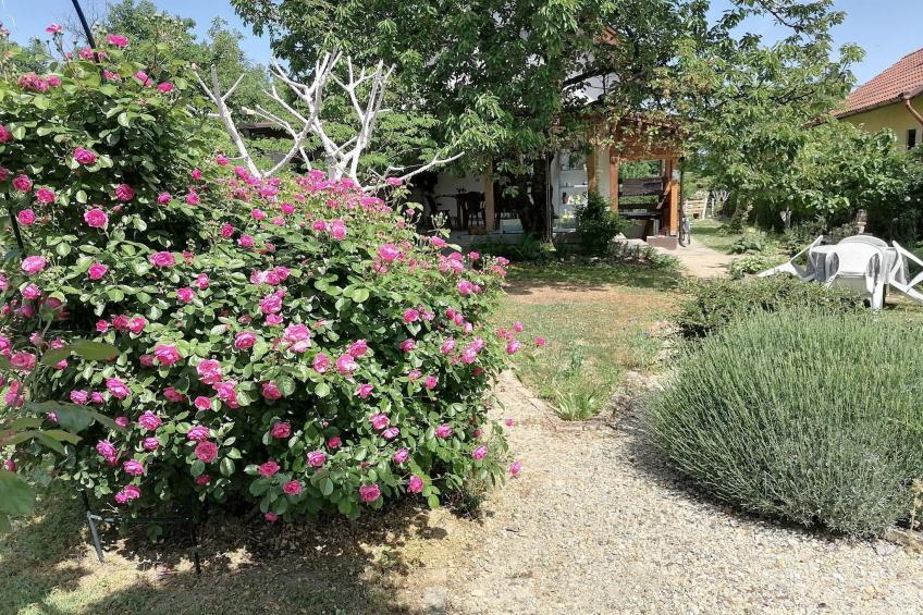 Holiday Home Paunovaca - Two Bedroom Holiday Home - foto 29