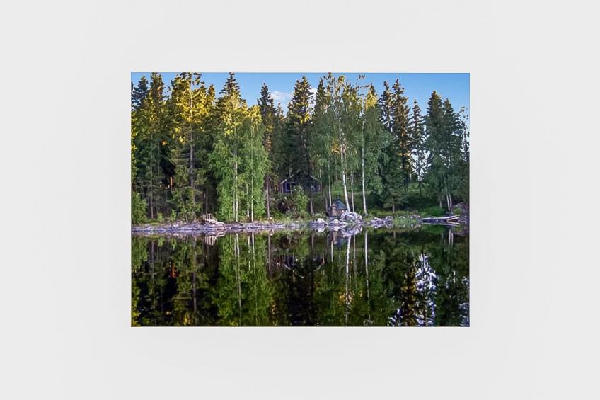 Mustikka, leppäniemen hirsihuvilat - foto 5