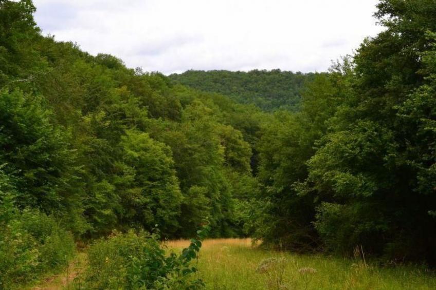 in Souillac mit Gemeinschaftspool - foto 34