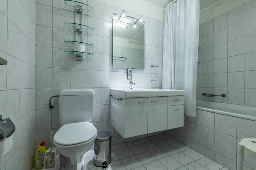 Putzprinz Gujan Ferienwohnung, Haus Surmir B / 16, (Flims Waldhaus). 2.5-Zimmer - foto 13