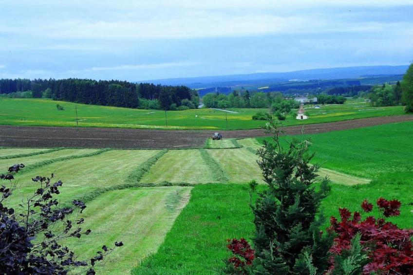 Park Blick - foto 30