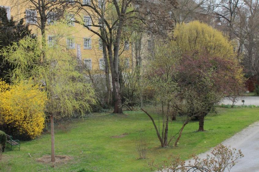 Gemütliche Wohnung in Geidorf mit Garten, Grazer Dom-Nähe - foto 21