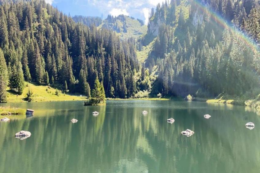 Chalet Sherwood Forest - foto 33