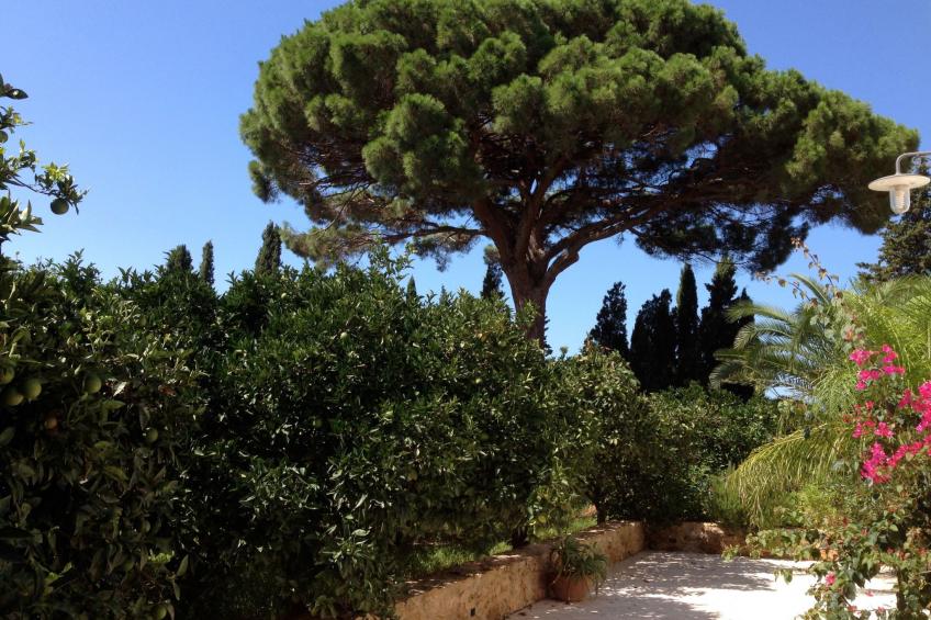 'Haus am Zitronenhain' - foto 2