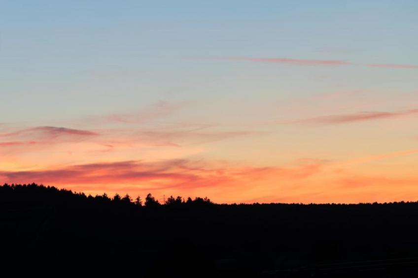 Morgensonne - foto 28