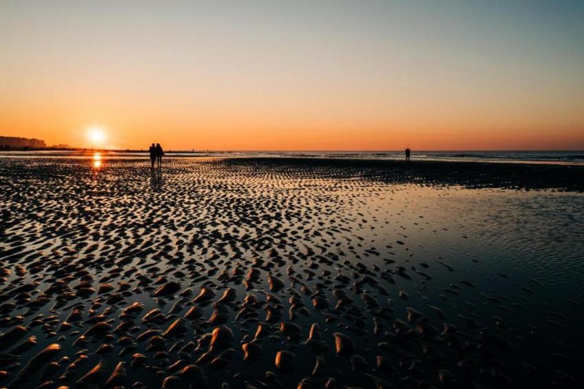 James Ensor - foto 28