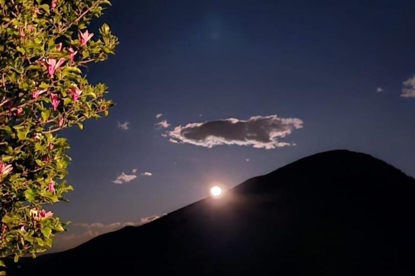 Casa Piccola - foto 22