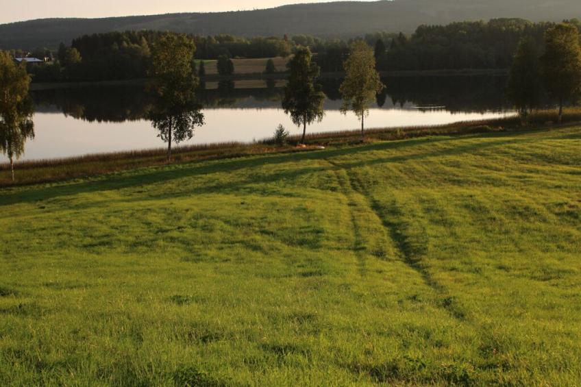 274455 - foto 11