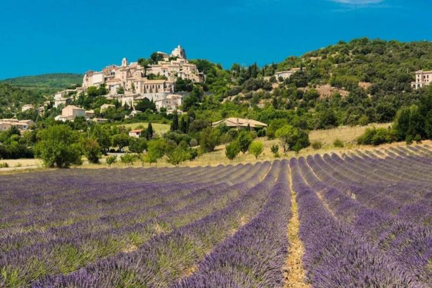 Mas La Miellerie | Charme Authentique Et Nature - foto 79