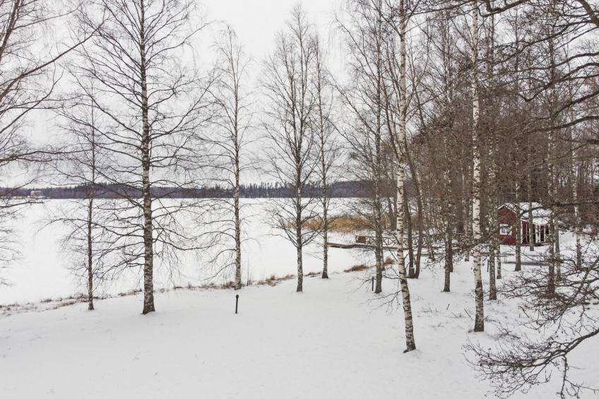 Aurinko vanaja - foto 27