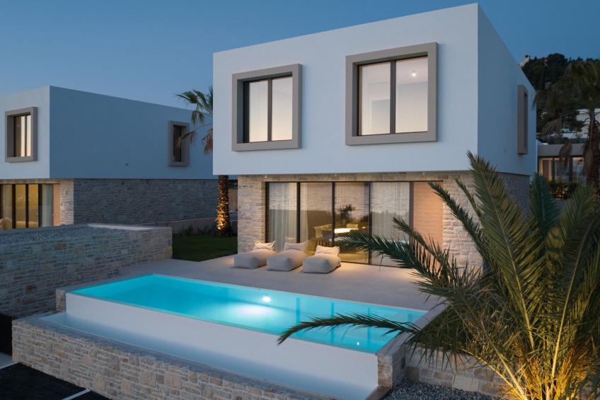 Palms - foto 16