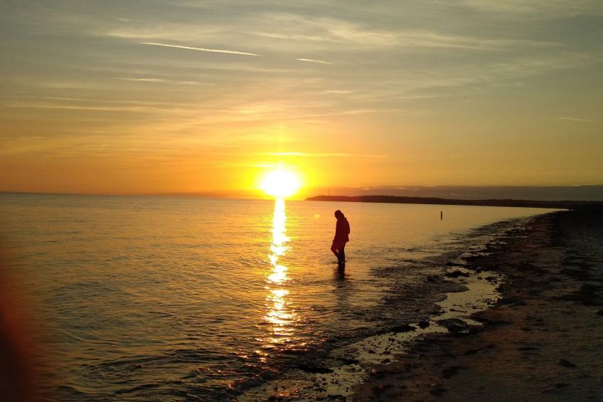 Le Bois aux Ecureuils (Eichhörnchenwald) - foto 23
