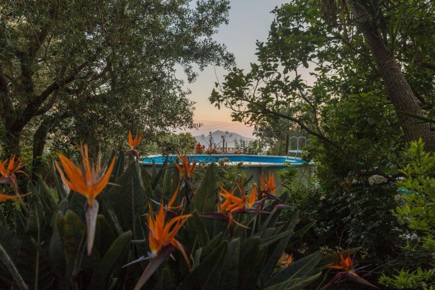 Sonnenstrahl - foto 6