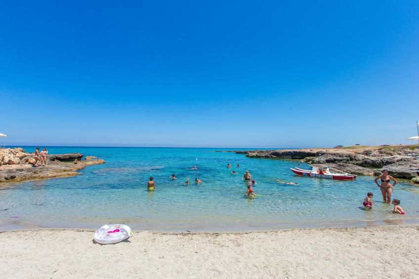 Flaches Meer aus Kiefernholz - foto 28