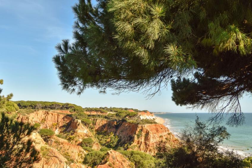 Wohnung "Falésia" mit Gemeinschaftspool - foto 30