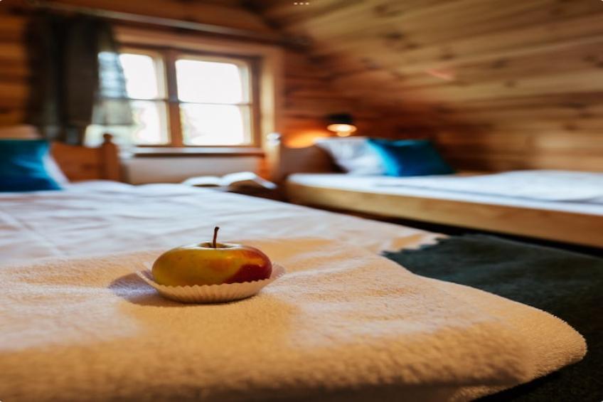 Dom przy drodze Skansen dla 9 osób Bełczna - foto 15