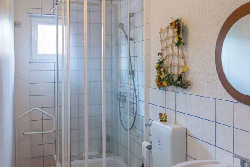 Löwenzahn mit Holu - foto 16