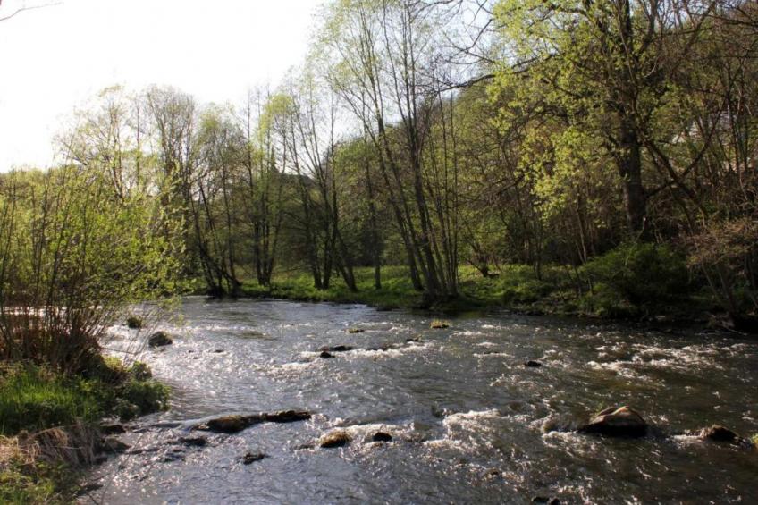 Ferienwohnung Thale - foto 36