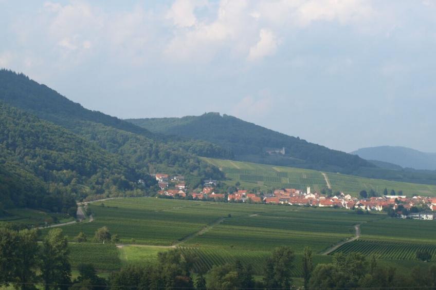 19016 - foto 33