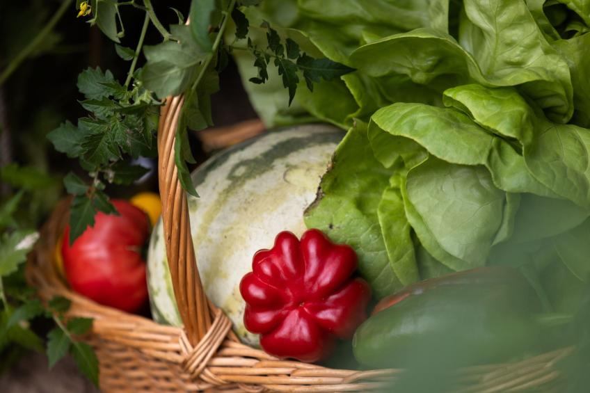 Grand Appartement - foto 14