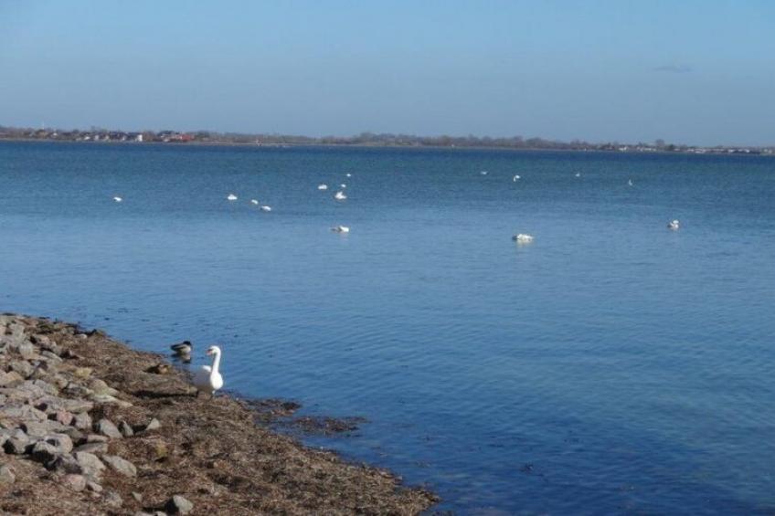 Holiday resort Orther Reede, Fehmarn-Orth - Type B - foto 35