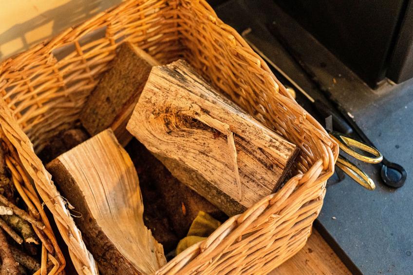 Jenny Wren - foto 23