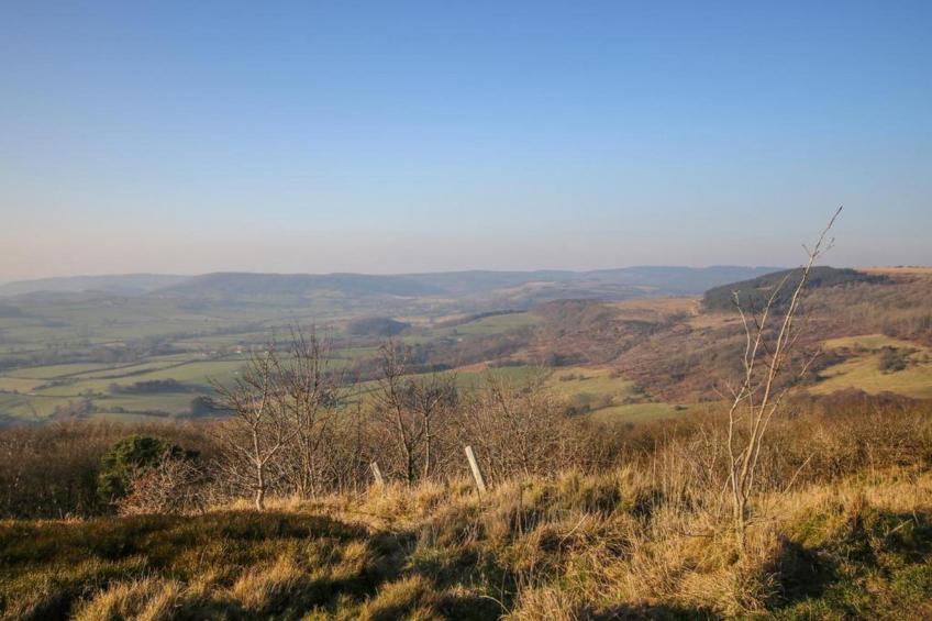 Mowbray Hall Apt - foto 20